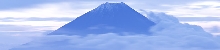 AM100_L.jpg