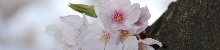 DSC_0043.JPG